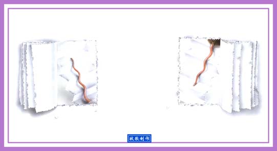 反正 (08),绘本,绘本故事,绘本阅读,故事书,童书,图画书,课外阅读